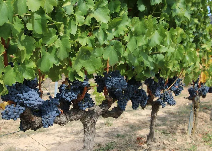 Casa Rosales 2 Appartement Cambrils